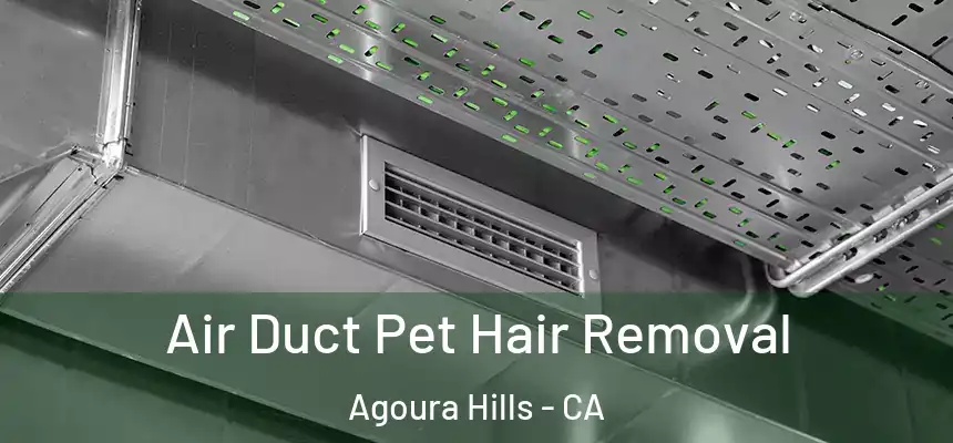 Air Duct Pet Hair Removal Agoura Hills - CA