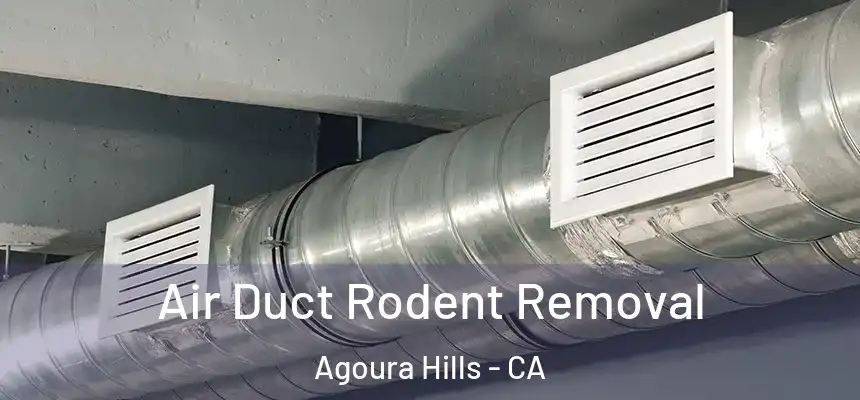 Air Duct Rodent Removal Agoura Hills - CA