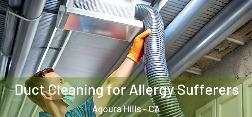  Duct Cleaning for Allergy Sufferers Agoura Hills - CA