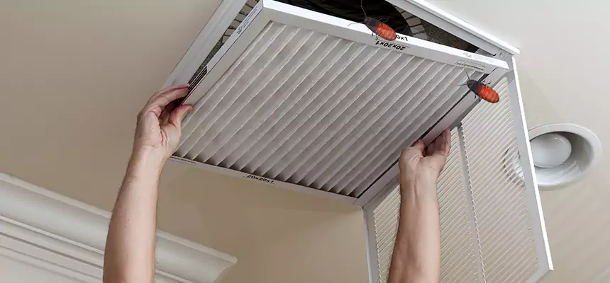 Preventive Cockroach-Proofing for Ducts in Agoura Hills