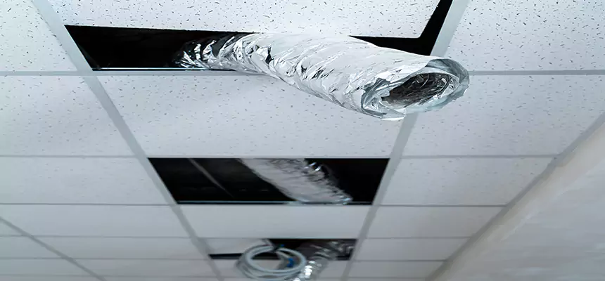 Affordable HVAC Sanitizing After Pest Removal in Agoura Hills