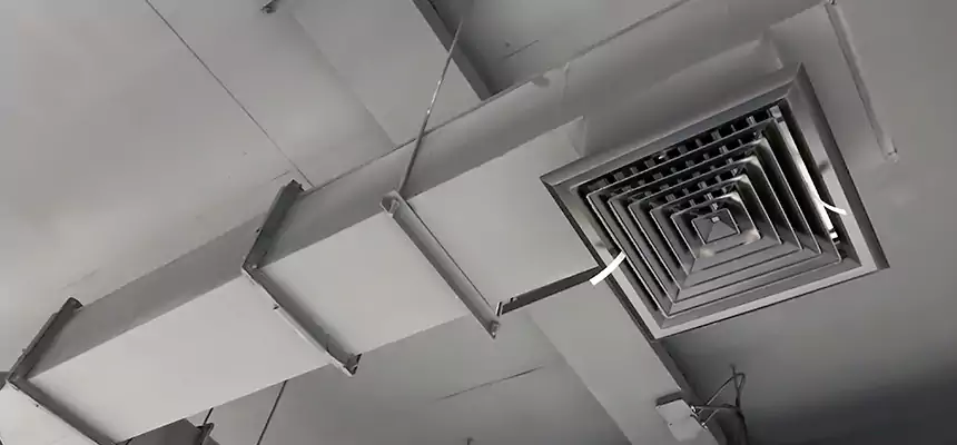 Our Rodent Droppings In Vents Services in Agoura Hills, CA