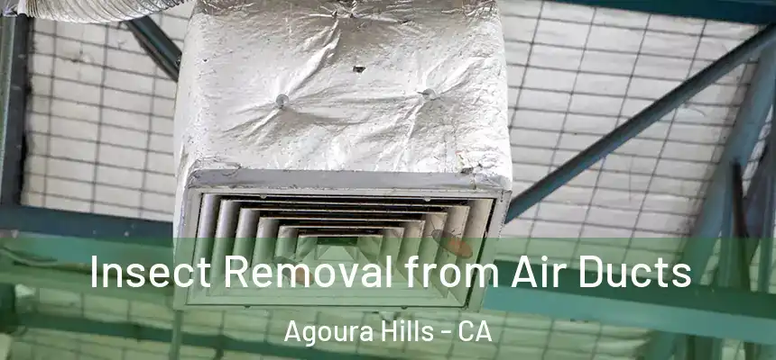  Insect Removal from Air Ducts Agoura Hills - CA