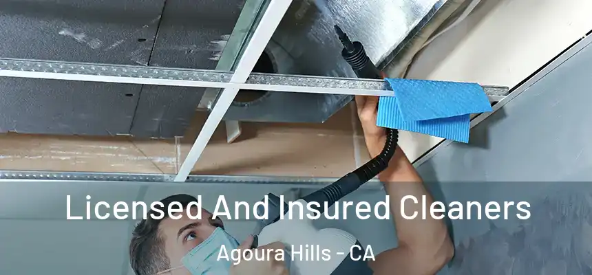  Licensed And Insured Cleaners Agoura Hills - CA