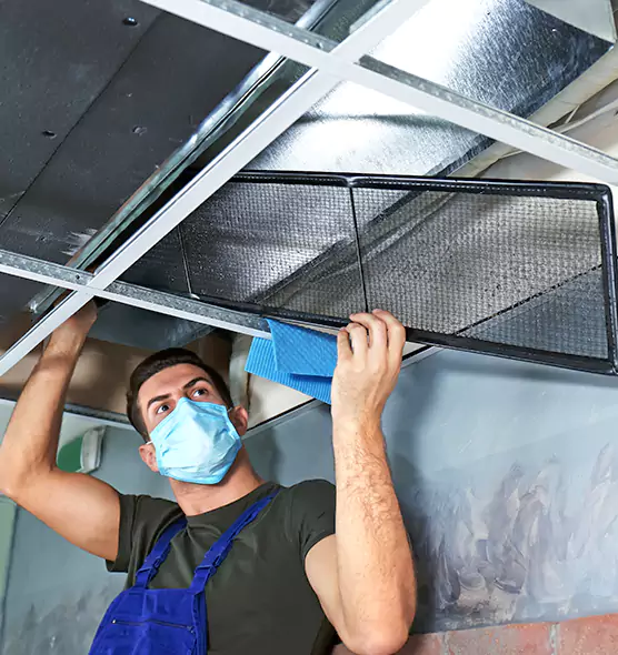 Professional Air Duct Pollen Cleaning in Agoura Hills, CA