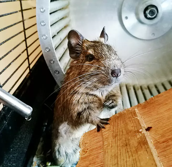 Why Homeowners & Businesses Trust Us Agoura Hills, CA