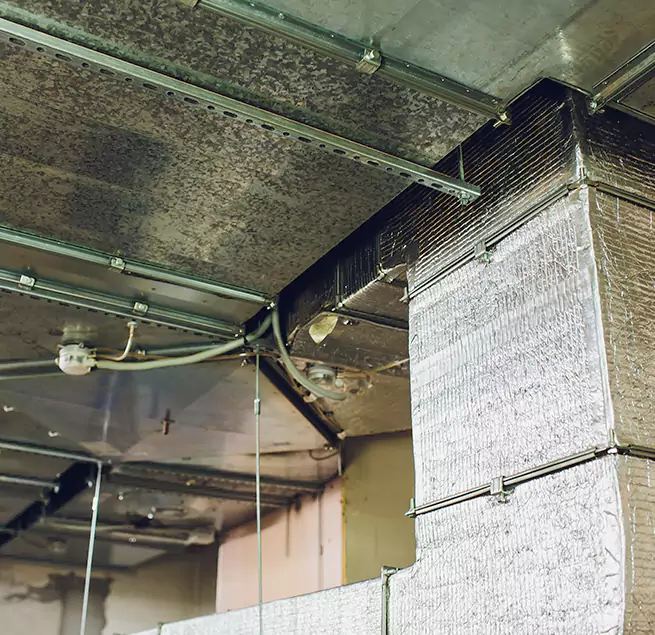 Why Homeowners & Businesses Trust Us in Agoura Hills, CA?